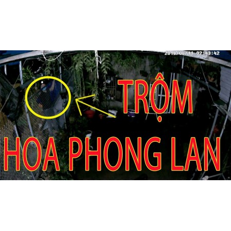 Xây Lắp Biển Bạc - Giới thiệu giải pháp chống trộm vườn lan
